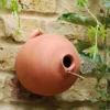 Blue Tit Terracotta Bird Pot