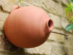 Blue Tit Terracotta Bird Pot -Garden & Outdoors pr2000007298 card3 lg