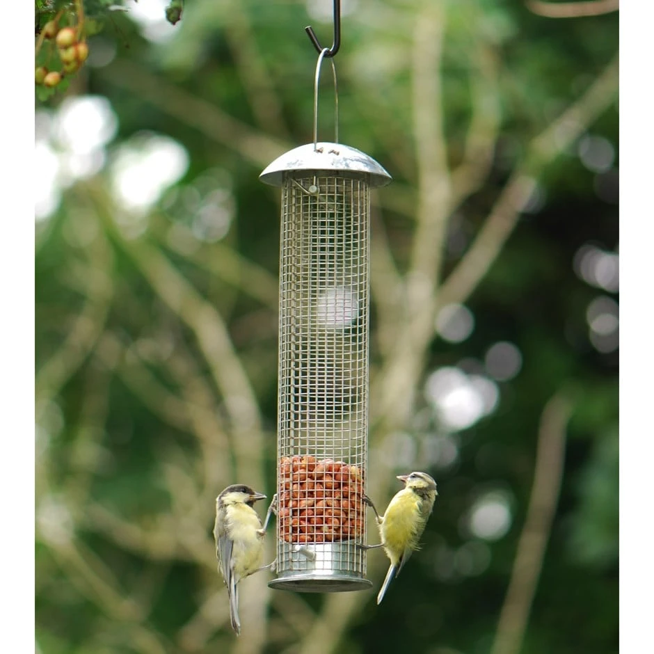 Heavy Duty Nut Feeder 1 Heavy Duty Nut Feeder