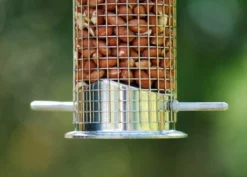 Heavy Duty Nut Feeder 7 Heavy Duty Nut Feeder -Garden & Outdoors pr2000008829 card3 lg