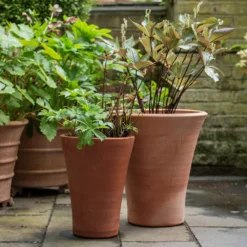 Empoli Terracotta Lily Pot -Garden & Outdoors pr2000012808 card5 lg