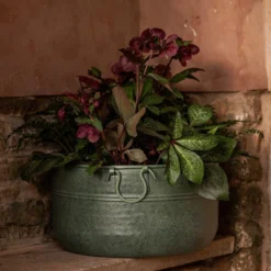 Verdigris Plant Bowl/drink Bucket 10 Verdigris Plant Bowl/drink Bucket -Garden & Outdoors pr2000016191 card4 lg