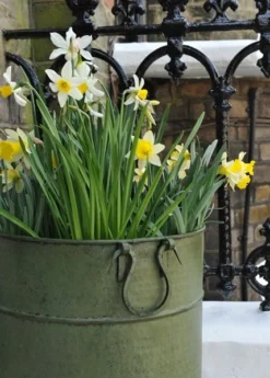 Verdigris Tall Metal Planter -Garden & Outdoors pr2000016192 card3 lg