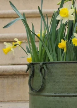 Verdigris Tall Metal Planter -Garden & Outdoors pr2000016192 card4 lg