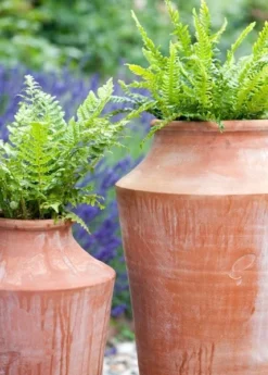 Terracotta Oil Pot -Garden & Outdoors pr2000016940 card4 lg