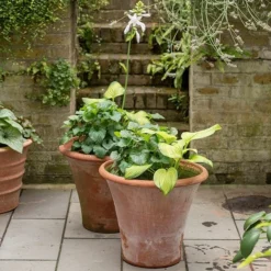 Terracotta Arc Pot -Garden & Outdoors pr2000016942 card5 lg