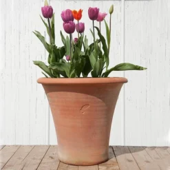 Terracotta Arc Pot -Garden & Outdoors pr2000016942 card8 lg