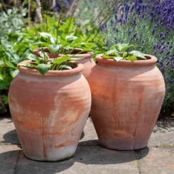 Terracotta Tulip Pot -Garden & Outdoors pr2000017349 card10 lg