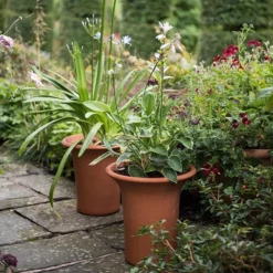 Terracotta Flared Rim Pot 13 Terracotta Flared Rim Pot -Garden & Outdoors pr2000017350 card5 lg