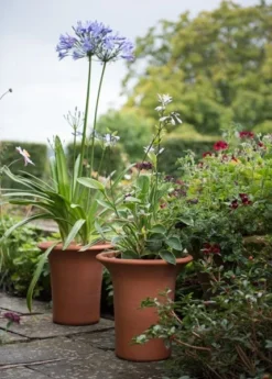 Terracotta Flared Rim Pot 16 Terracotta Flared Rim Pot -Garden & Outdoors pr2000017350 card8 lg