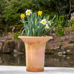 Terracotta Flared Rim Pot 17 Terracotta Flared Rim Pot -Garden & Outdoors pr2000017350 card9 lg