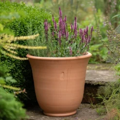 Terracotta Perennial Bell Pot -Garden & Outdoors pr2000017362 card3 lg