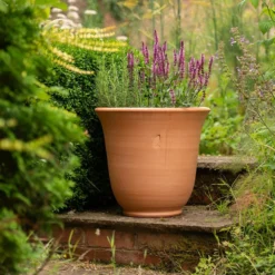 Terracotta Perennial Bell Pot -Garden & Outdoors pr2000017362 card4 lg
