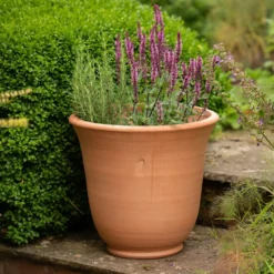 Terracotta Perennial Bell Pot -Garden & Outdoors pr2000017362 card5 lg