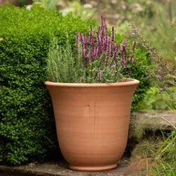 Terracotta Perennial Bell Pot -Garden & Outdoors pr2000017362 card6 lg