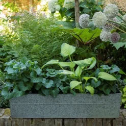 Embossed Galvanised Window Trough -Garden & Outdoors pr2000018441 card3 lg