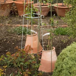 Clematis Root Protector -Garden & Outdoors pr2000020697 card3 lg