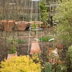 Clematis Root Protector -Garden & Outdoors pr2000020697 card4 lg