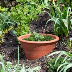 Terracotta Rimmed Grow Pot -Garden & Outdoors pr2000022763 card5 lg