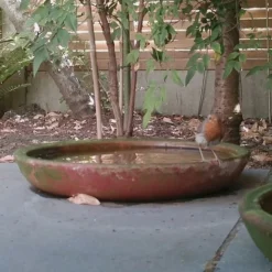 Terracotta Saucer -Garden & Outdoors pr2000022770 card3 lg