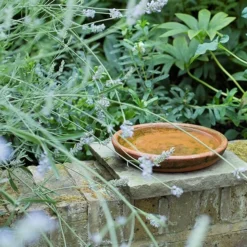 Terracotta Saucer -Garden & Outdoors pr2000022770 card5 lg