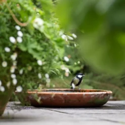 Terracotta Saucer -Garden & Outdoors pr2000022770 card6 lg