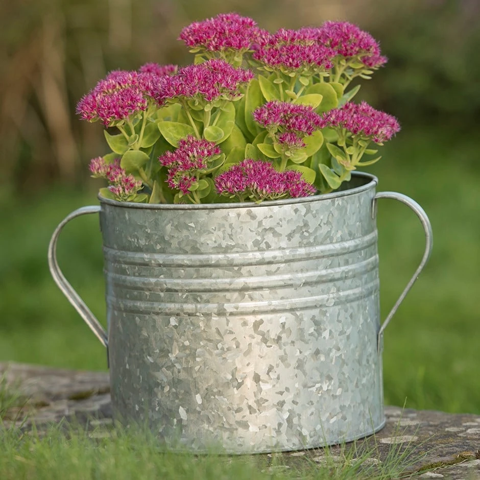 Galvanised Planter With Handles 1 Galvanised Planter With Handles