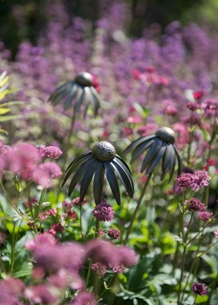 Echinacea Plant Stake - Antique Bronze 8 Echinacea Plant Stake - Antique Bronze - Image 8