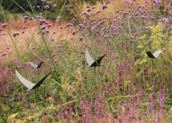 Silhouette Flying Bird -Garden & Outdoors pr2000026361 card3 lg