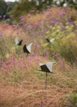 Silhouette Flying Bird -Garden & Outdoors pr2000026361 card4 lg