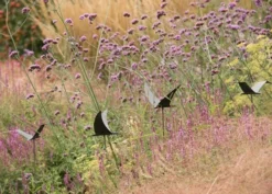 Silhouette Flying Bird -Garden & Outdoors pr2000026361 card5 lg