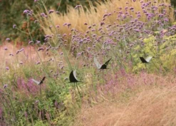 Silhouette Flying Bird -Garden & Outdoors pr2000026361 card6 lg