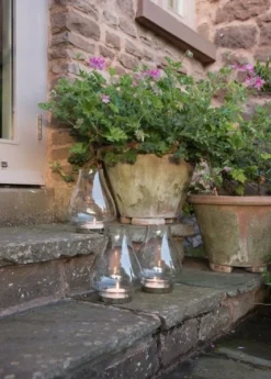 Tulip Hurricane Lantern -Garden & Outdoors pr2000026365 card7 lg