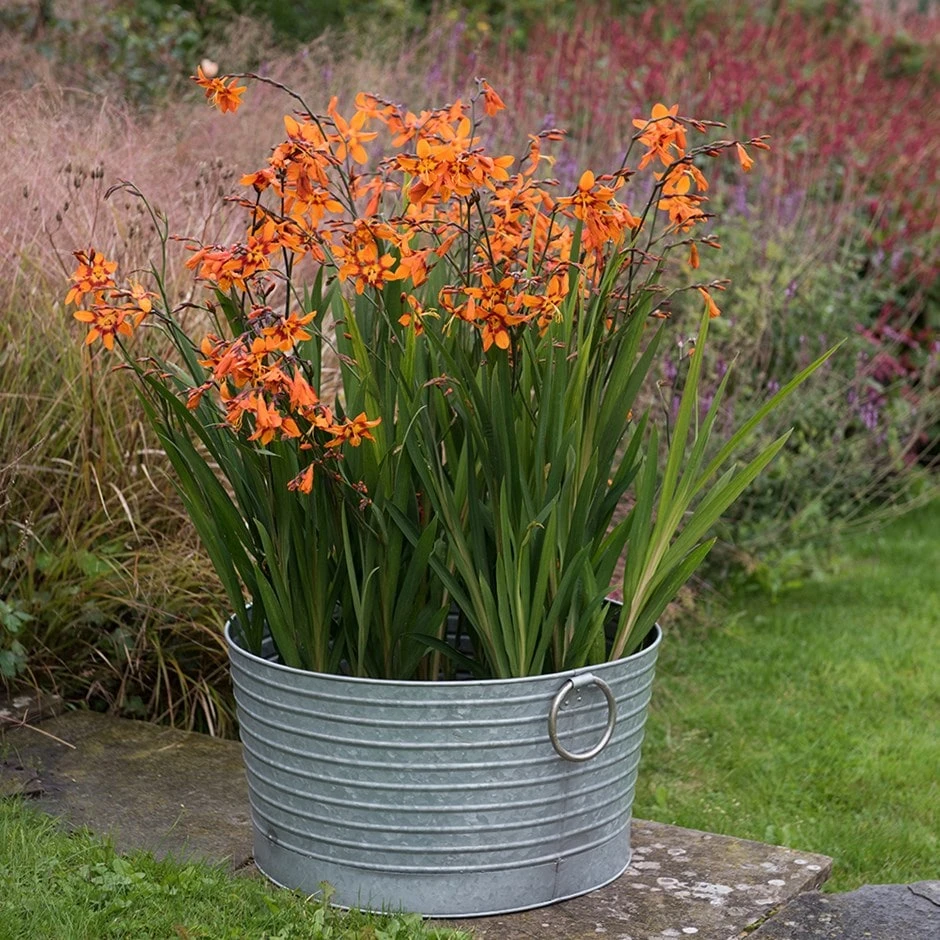 Ribbed Galvanised Tub 1 Ribbed Galvanised Tub