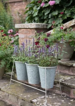 Three Galvanised Pots And Stand 7 Three Galvanised Pots And Stand -Garden & Outdoors pr2000027863 card3 lg