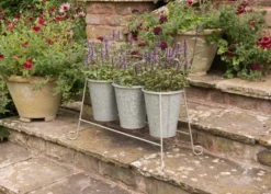 Three Galvanised Pots And Stand 8 Three Galvanised Pots And Stand -Garden & Outdoors pr2000027863 card4 lg