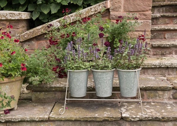 Three Galvanised Pots And Stand 5 Three Galvanised Pots And Stand - Image 5