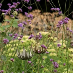 Flower Stake Tealight Holder -Garden & Outdoors pr2000027887 card7 lg