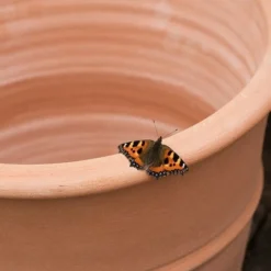Monachou Terracotta Pot 7 Monachou Terracotta Pot -Garden & Outdoors pr2000028341 card3 lg