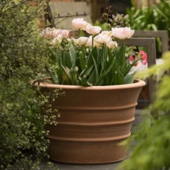 Monachou Fardipati Terracotta Pot 12 Monachou Fardipati Terracotta Pot -Garden & Outdoors pr2000028348 card6 lg