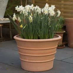 Monachou Fardipati Terracotta Pot 13 Monachou Fardipati Terracotta Pot -Garden & Outdoors pr2000028348 card7 lg