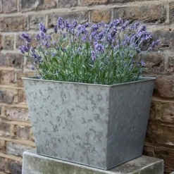 Galvanised Planter -Garden & Outdoors pr2000028358 card4 lg