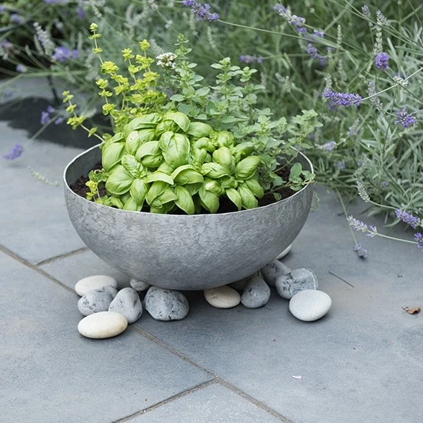 Sphere Planter With Stand 8 Sphere Planter With Stand - Image 8