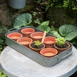 Terracotta Grow Pots - Set Of 8 With Tray