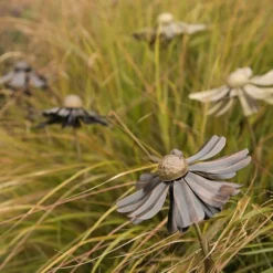 Helenium Flower Stake 19 Helenium Flower Stake -Garden & Outdoors pr2000028383 card10 lg