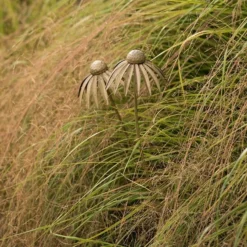 Echinacea Plant Stake - Antique Brass -Garden & Outdoors pr2000028406 card7 lg
