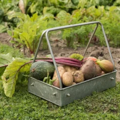 Planting Tray / Trug -Garden & Outdoors pr2000028415 card3 lg