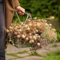 Planting Tray / Trug -Garden & Outdoors pr2000028415 card7 lg