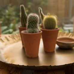 Brass Tray -Garden & Outdoors pr2000028422 card4 lg