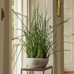 Rough Cast Aluminium Bowl